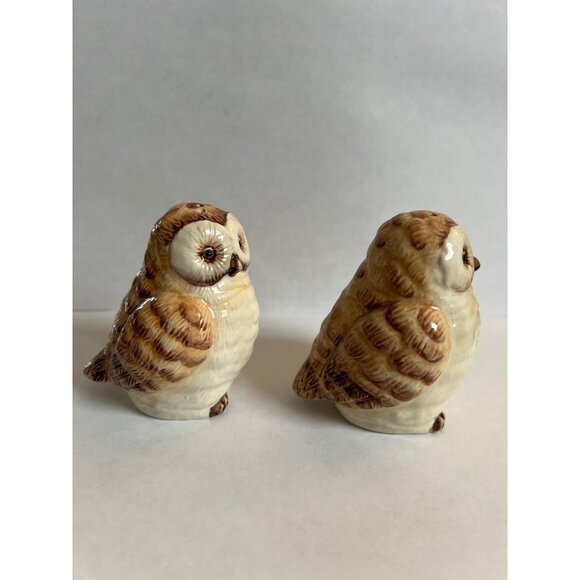 Vintage Ceramic Owl Salt & Pepper Shakers Hand-Painted Brown & Cream Collectible - Picture 2 of 5